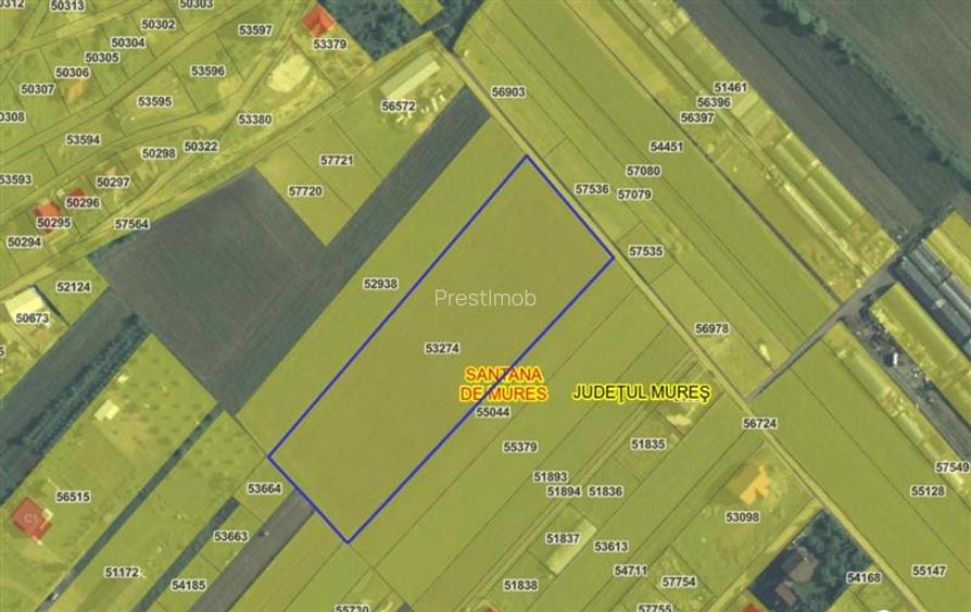Teren de vanzare in Santana de Mures - 3