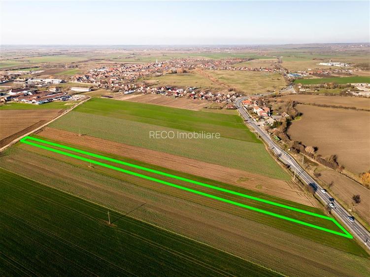 RECO teren 5000mp cu deschidere la DN19 Tamaseu - 3