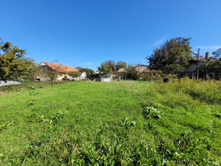 Techirghiol - casa batraneasca cu teren 750 mp - 6