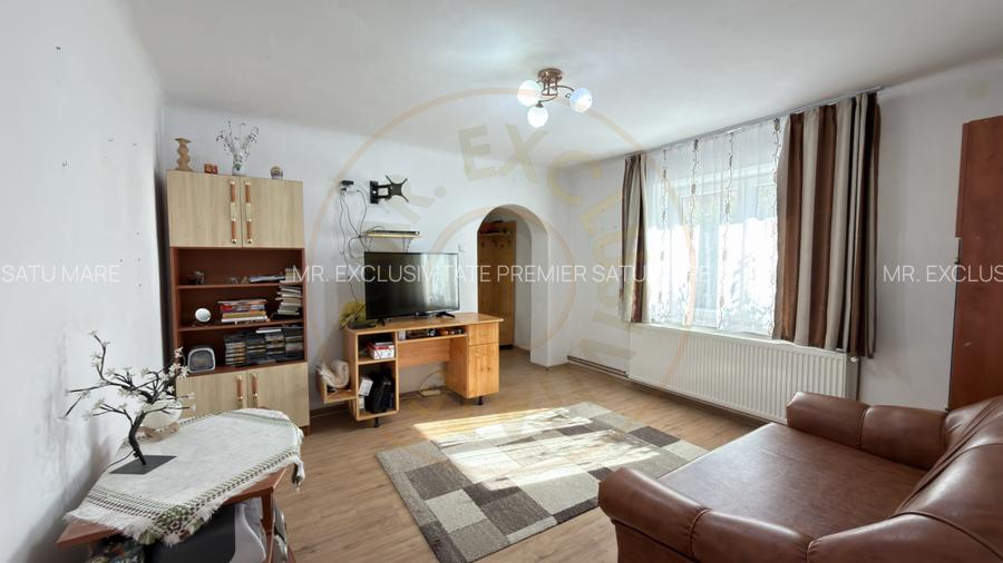 Casă 2 camere P+1 , Teren 191 mp - Str. Șoimului - Carei - 4