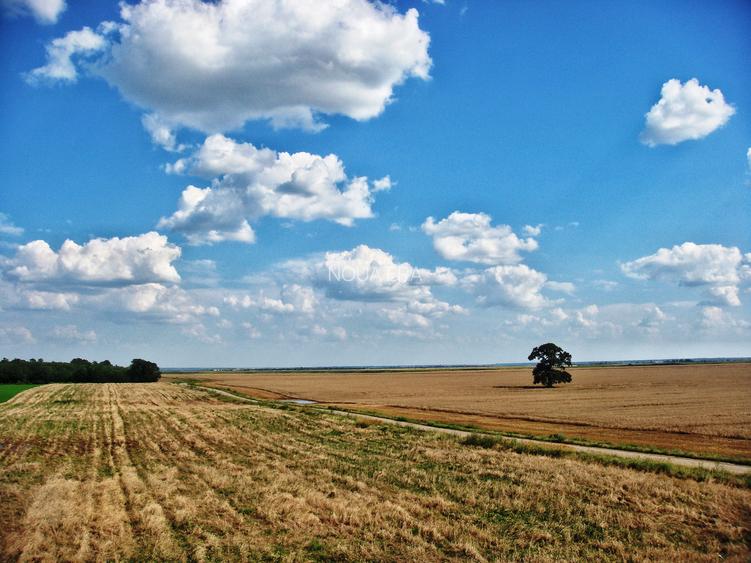 Comunitate verde în mijlocul naturii. Teren langa Frumușani. 12 libere - 4