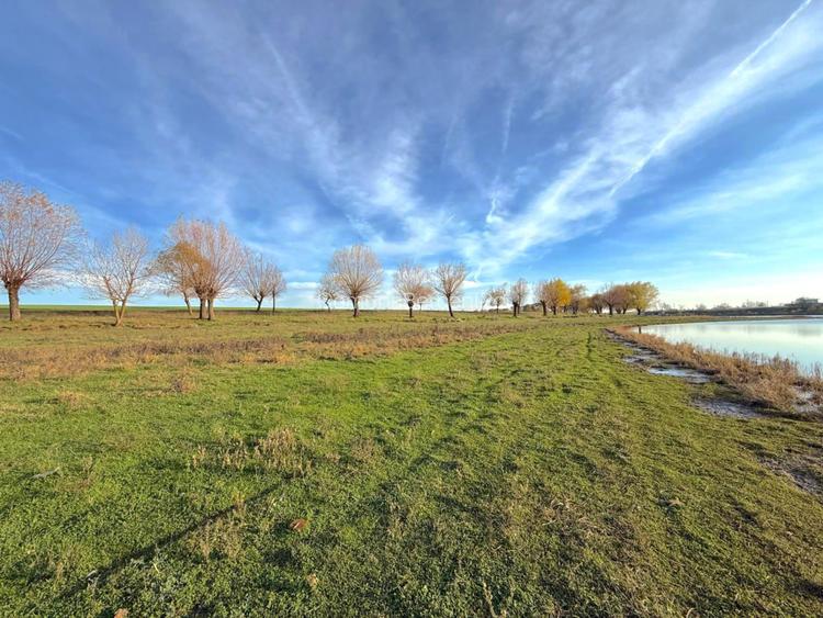 Loturi Intravilan Rate pe Lac Com Berceni | utilitati in zona | #LG14 - 16