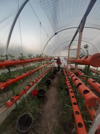 Casa de vanzare cu potential ridicat in Cornatel jud.Sibiu - 5