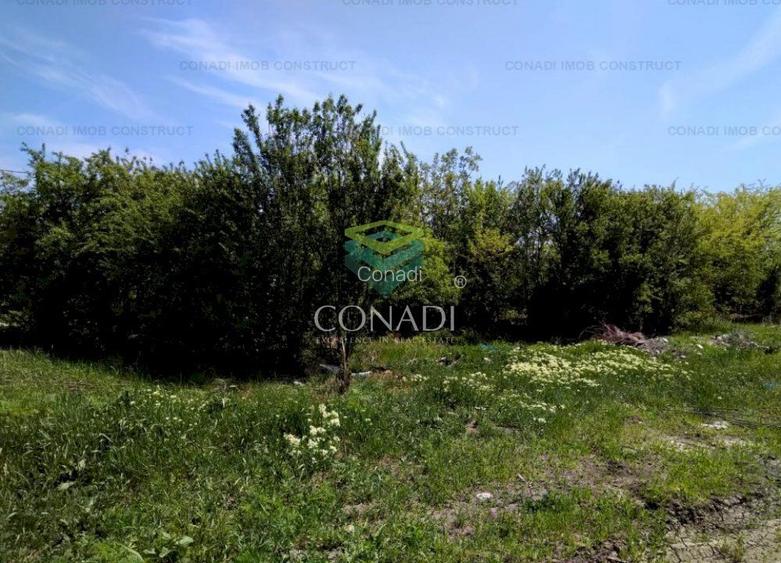 Teren pretabil dezvoltare rezidentiala sau mixta in Otopeni - Zona Libertatii - 7