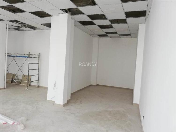 R O A N D Y  imobilare - 2