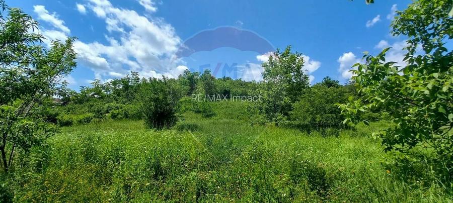 Teren Intravilan de vanzare 3551mp Poiana Copaceni Com Gura Vitioarei - 10