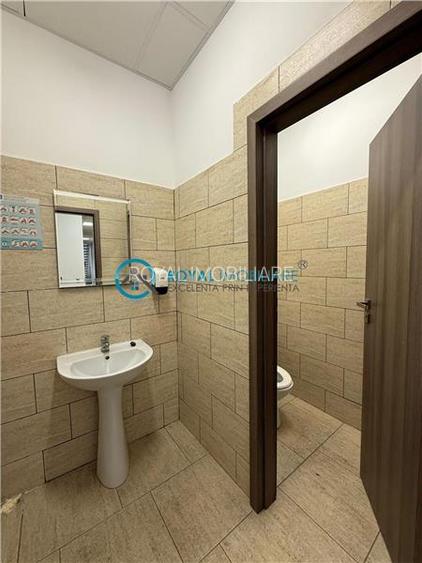 Royal Imobiliare-  Spatiu Industrial Zona Exterior Vest - 32