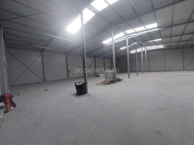 Ovidiu, parc industrial, constructie 2025, 120-1160 mp. - 4
