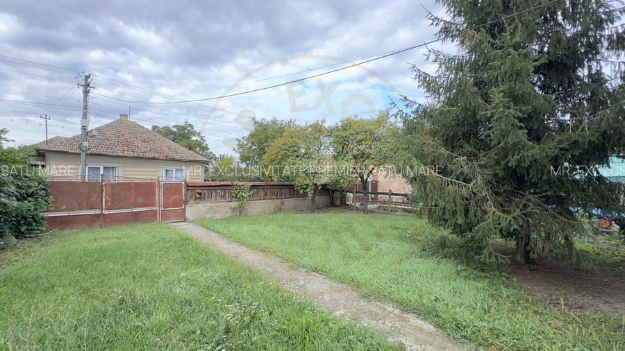 Casă 3 camere, Teren 3.263 mp, Str.Mărășești Nr.16 -Carei-Comision 0% cumpărător - 10