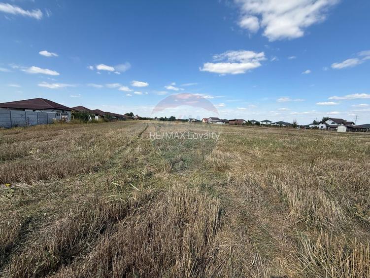 Vand teren intravilan 5000 mp in Sabareni - 6