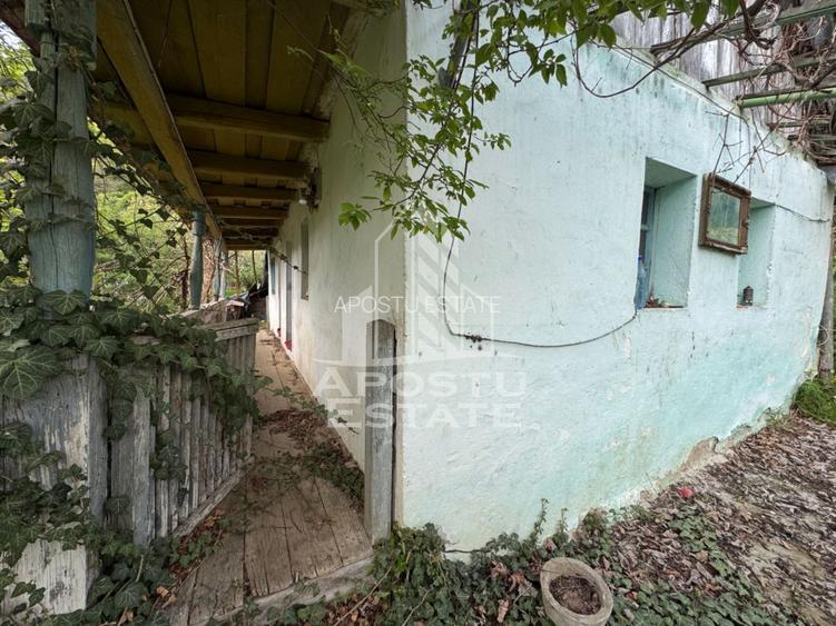 Casa batraneasca cu 2 camere, vedere panoramica, in Toplita, Hunedoara - 7