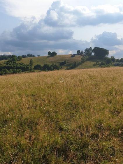 De vanzare teren in zona Crint -Tilisca in golul alpin, direct de la proprietar! - 12