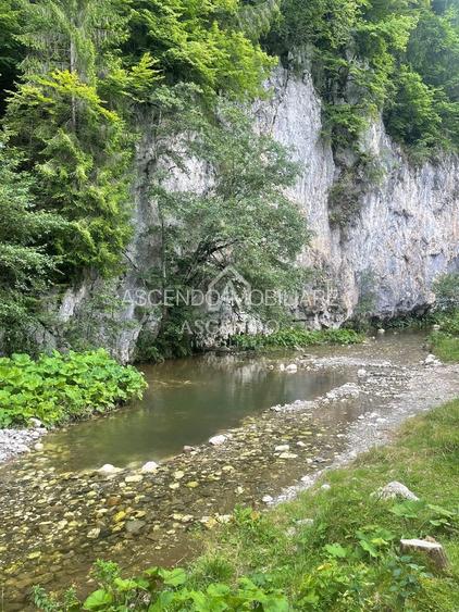 Teren Investiție Turistică Dâmbovicioara Baranga | 4.500 mp - 22