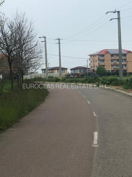 Teren 17.000mp Costinesti - zona Manastire - 100 euro/mp (Cod E2) - 4
