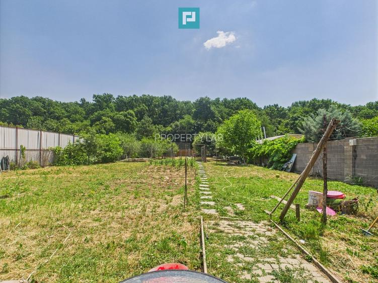 Teren edificabil 1106 mp – Dumbrăvița - 6