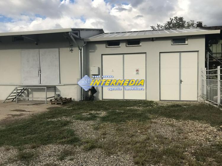 HALA CU MULTIPLE ACTIVITATI I 265  MP I TEREN 608 MP I Alba Iulia I - 2