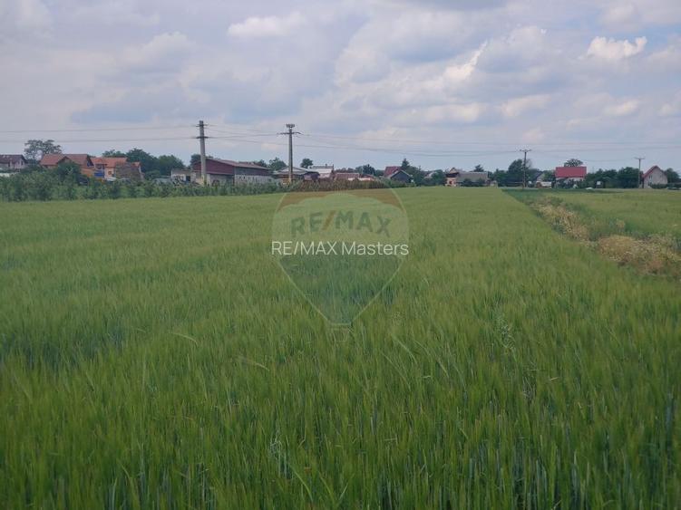 Teren intravilan 6,600mp Dumbraveni / Strada Principala spre Veresti - 7