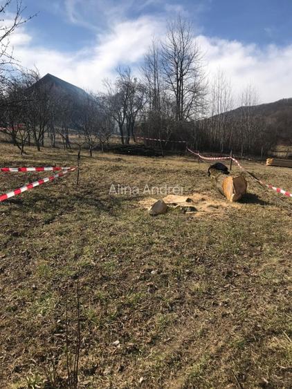 Teren de vanzare Baile Olanesti  - 2