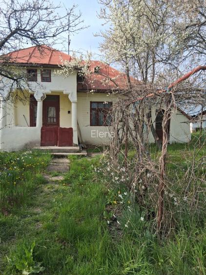 Teren intravilan cu casa batraneasca - 6