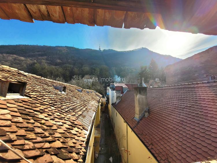 Apartament Boieresc la poalele Tampei - Eleganta si liniste, Centru Istoric, Bv - 18