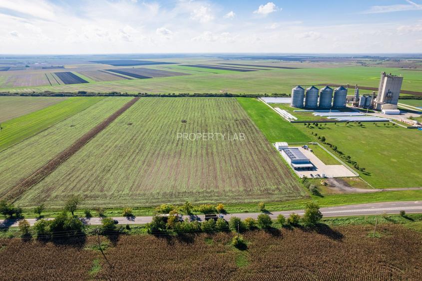 Teren de 104000 mp în Vinga - 4