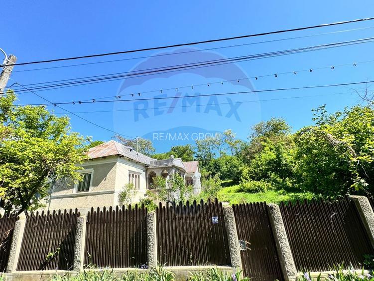 Casă taraneasca de vanzare- PARAVA-BACAU - 9