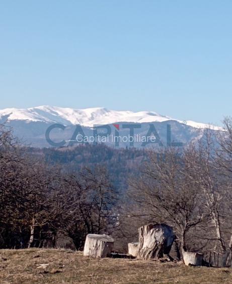 Casa de vanzare in Campulung Muscel, Arges - 3