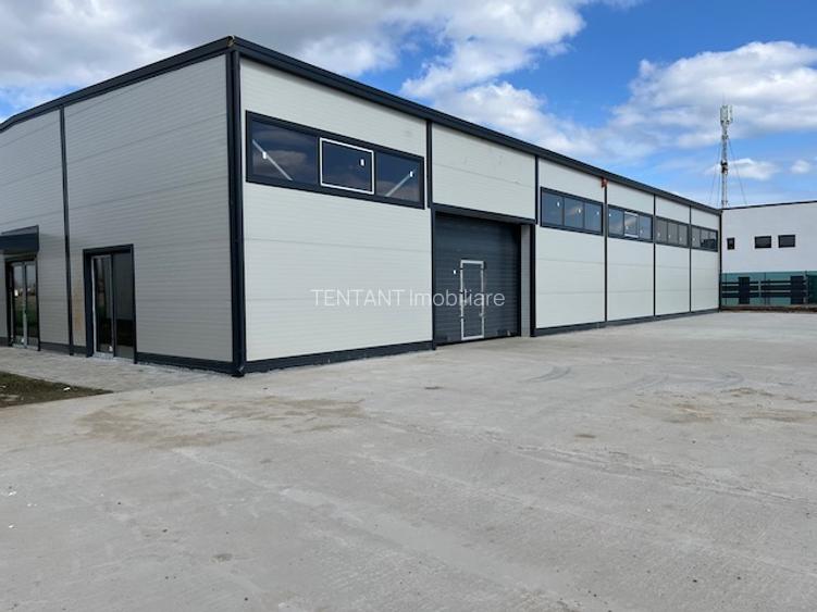 Hala productie, depozitare in comuna Moara Vlasiei, zona industriala, utilitati - 2