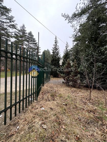 Teren Piatra Neamt - zona strand ideal pentru Hotel - 6