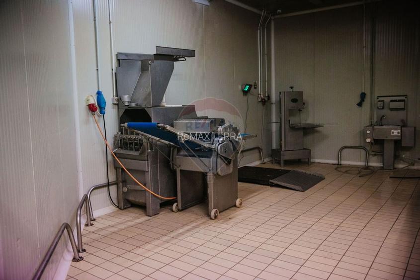 Spațiu industrial de 1,700mp de închiriat în zona Vasile Alecsandri - 11