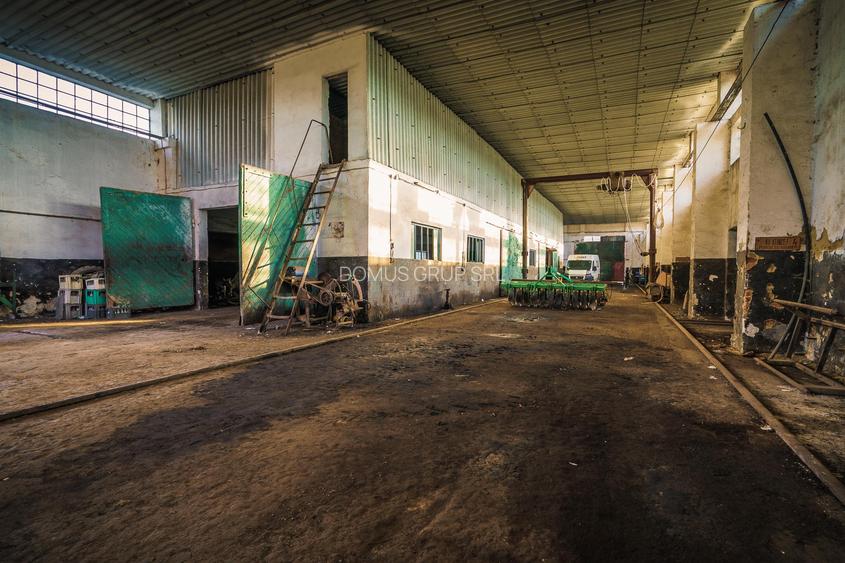 Inchiriere hala pentru depozitare sau productie  – Poarta Alba - 5