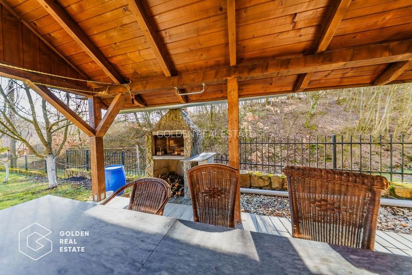 Proprietate pretabila pentru afacere, Cladova - 31