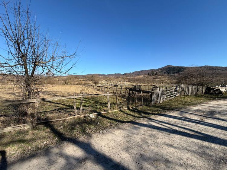 OCAZIE UNICA / SINCA NOUA / Teren extravilan pe drumul spre Manastire! - 3