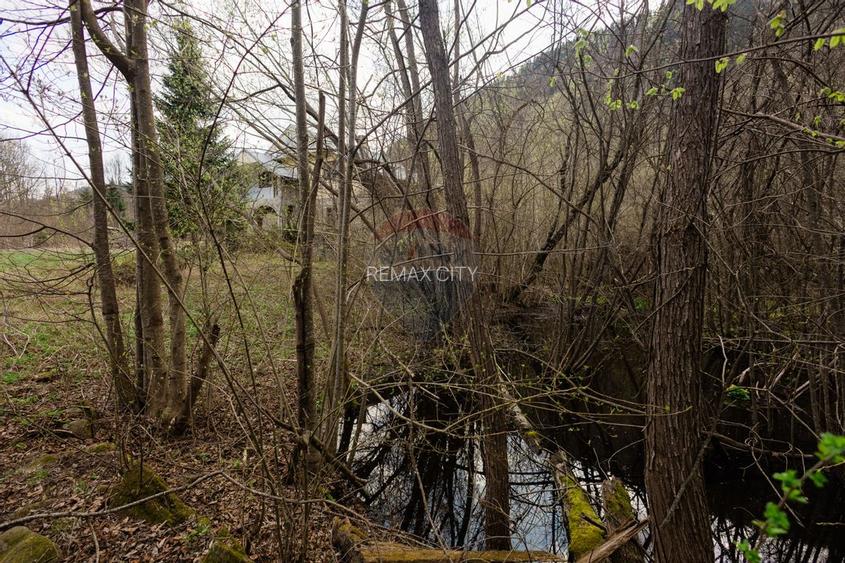 Casa si teren intravilan Tarcau - 25