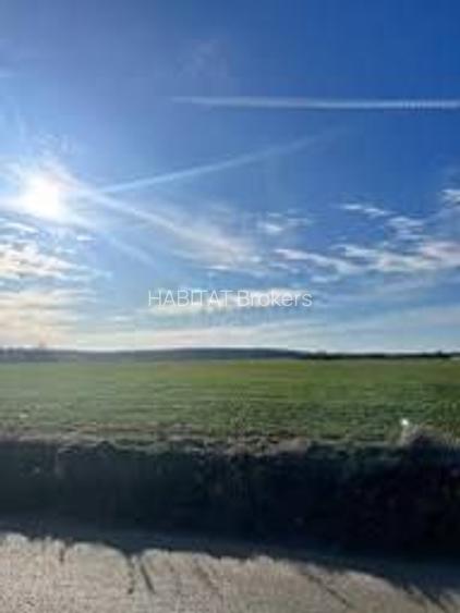 30700mp in Comuna Ciolpani | Extravilan - 5