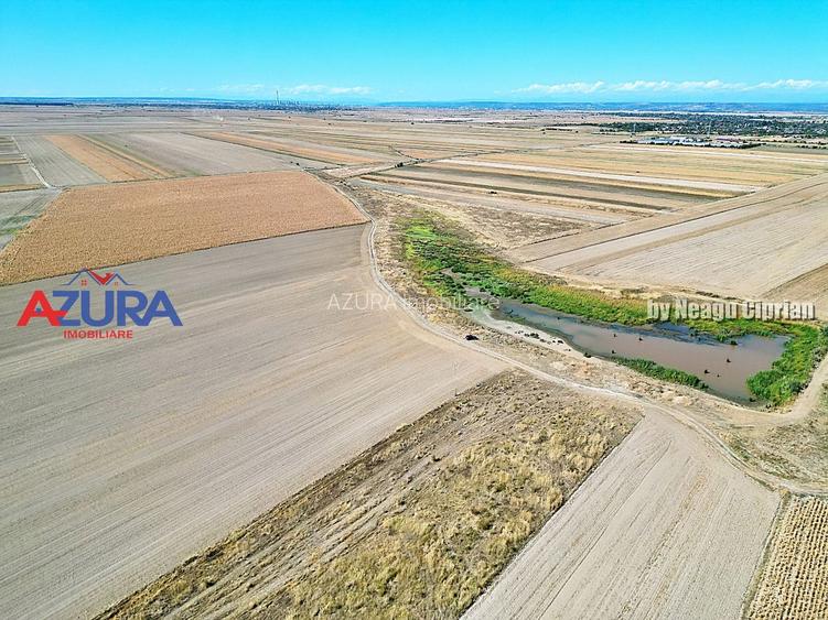 Teren agricol, 5HA, comasat, drum acces, Cateasca - 5