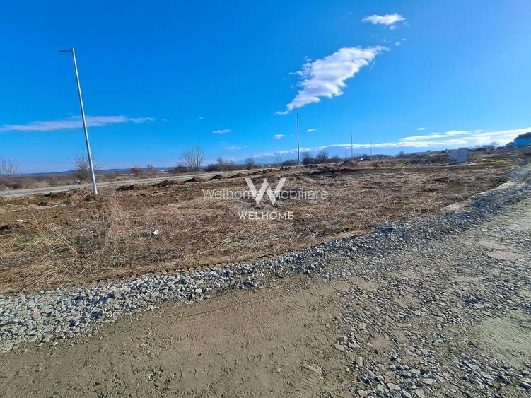 Teren intravilan constructii cu autorizatie constructie casa - Cisnadie - Sibiu - 4