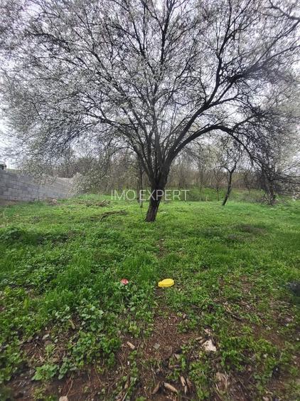 OPORTUNITATE!!! CASA DE VANZARE IN CÂLNIC LA 35.000 EURO - 9