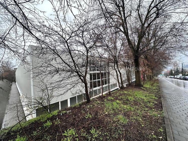 Inchiriere hala renovata Tatarasi Iasi, 990mp, zona noul Lidl - 12