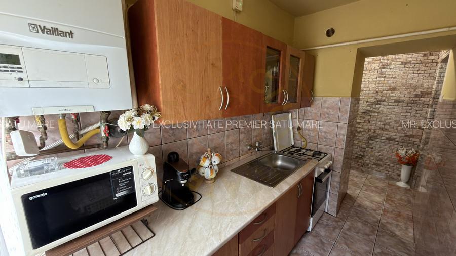 Apartament 2 camere Zona Penny Parter, Ignișului 26 - Carei - 9