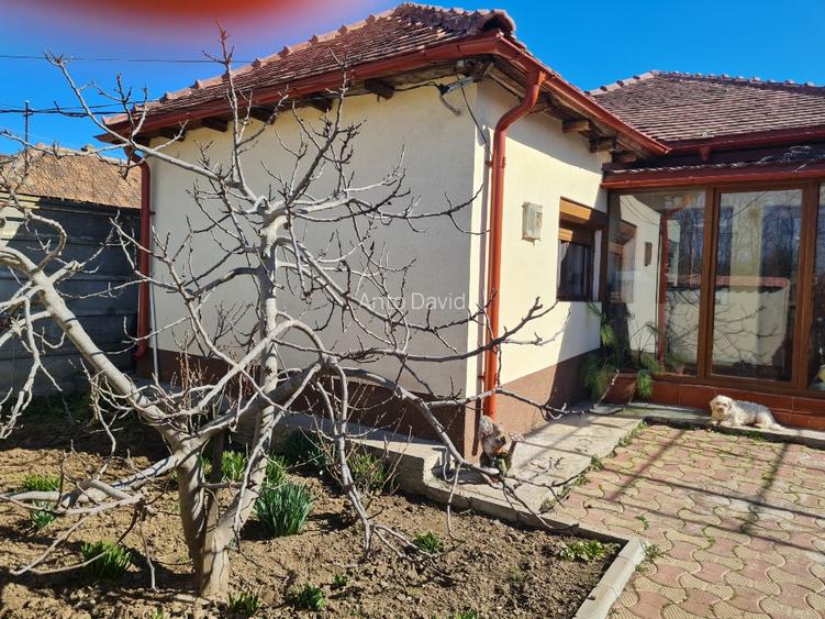 Vand două case pe un teren de 1500 m², în Lumina  - 2