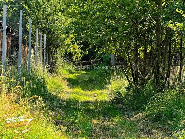 FILM! Teren extravilan pe 2.737mp,zona pretioasa,acces facil,Dobarlau,Covasna - 3