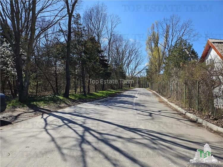 TEREN 23 AUGUST 4000 MP - 6