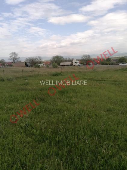 Teren intravilan de vânzare în Moacșa (Eresteghin)! - 6