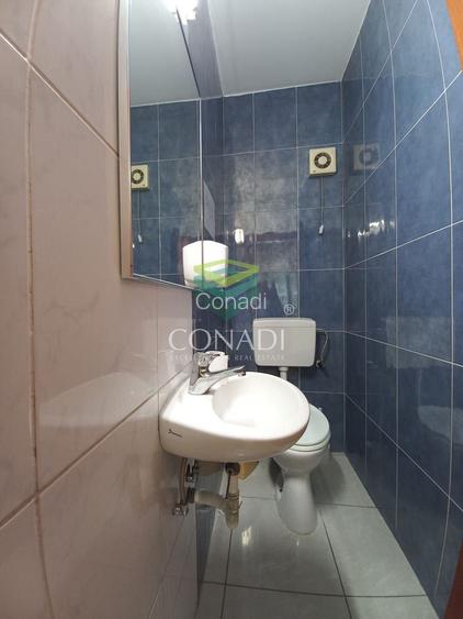 Birou de inchiriat // Domenii // Mihalache - 9