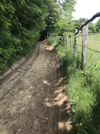 Vand teren in Albestii de Muscel faneata-pasune, partial impadurit - 9