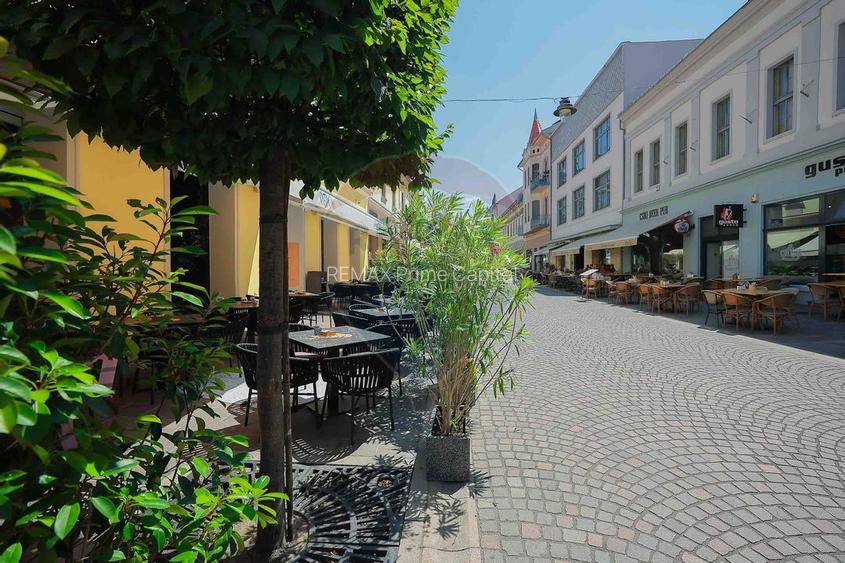 De vanzare -- Spatiu comercial parter 409 mp, Vasile Alecsandri - 33