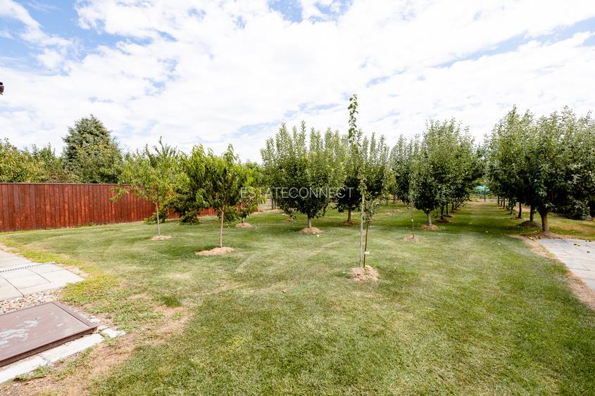 Casă pe un nivel cu teren generos de 1.464 mp – Livada - 10