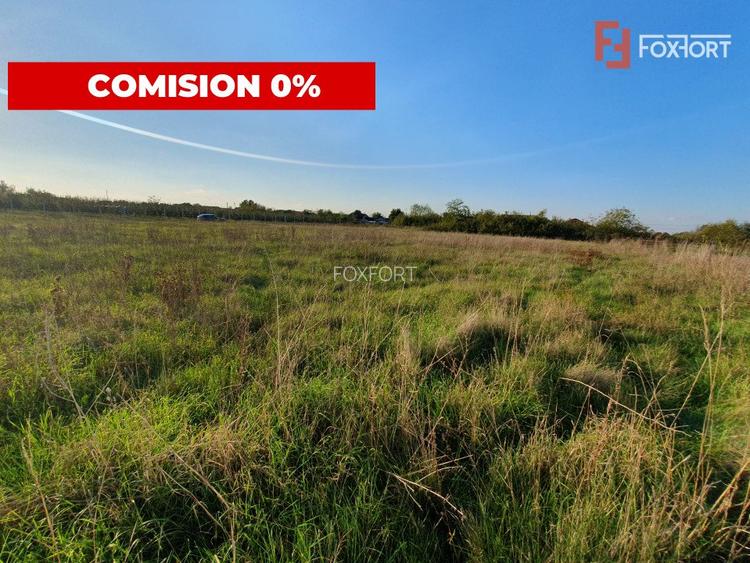 Teren intravilan de 3346 mp cu 2 fronturi - Jebel - 4