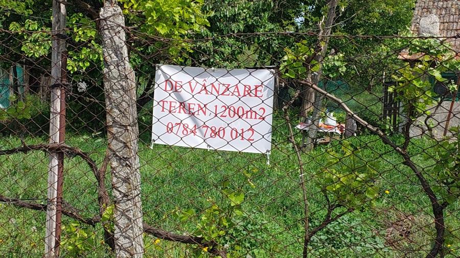 TEREN DE VANZARE IN SATUL VALEA SEACA, COM VALUL LUI TRAIAN - 15